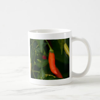 Zu heiß behandeln kaffeetasse
