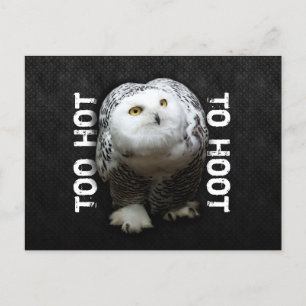 Zu heiß bis zum Hoot Postkarte