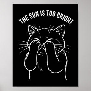 Zu helle Katze Poster