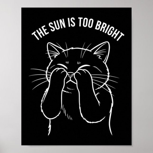 Zu helle Katze Poster (Vorne)