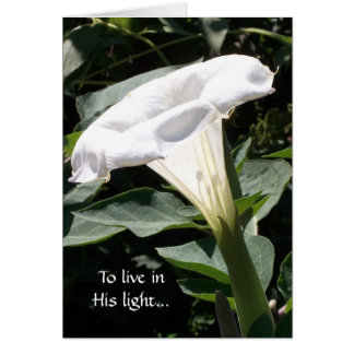 Zu in seinem Licht leben