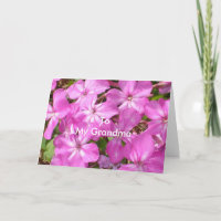 Zu meiner Oma zum Geburtstag Hübsche rosa Blume