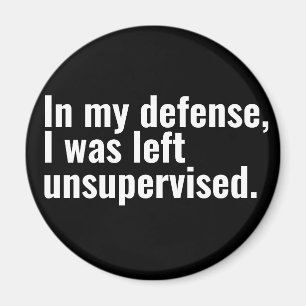 Zu meiner Verteidigung wurde mir unbeaufsichtigter Magnet