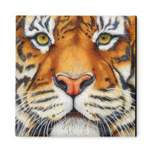 Zu Nah - Sibirisches Tiger-Magnet