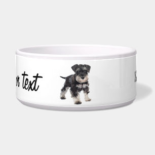Zu Niedlicher Welpe Miniatur Schnauzer Hund Napf