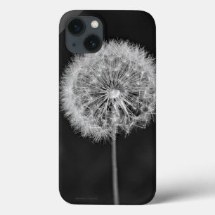 Zu Saatgut übergegangen Case-Mate iPhone Hülle