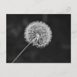 Zu Saatgut übergegangen Postkarte