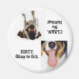 Zu Spülmaschinenmagneten lecken oder nicht lecken Magnet