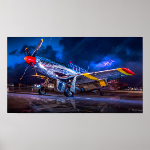 Zu stürmisch fliegen poster