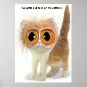 zu viel Koffein Poster