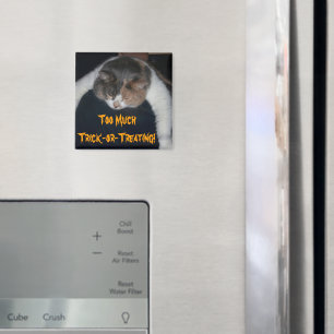 Zu viel Trick-or-Treating! Magnet