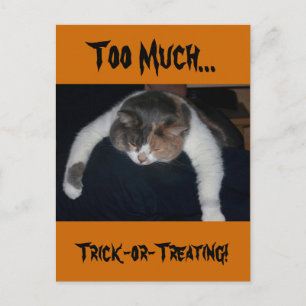 Zu viel Trick-or-Treating! Postkarte