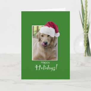 Zu Weihnachten, Goldener Retriever in Sa Feiertagskarte