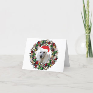 Zu Weihnachten - Standard Poodle