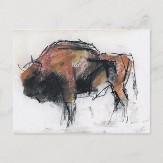 Zubre Bialowieza Postkarte (Vorderseite)