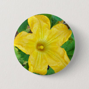Zucchini-Blume Button