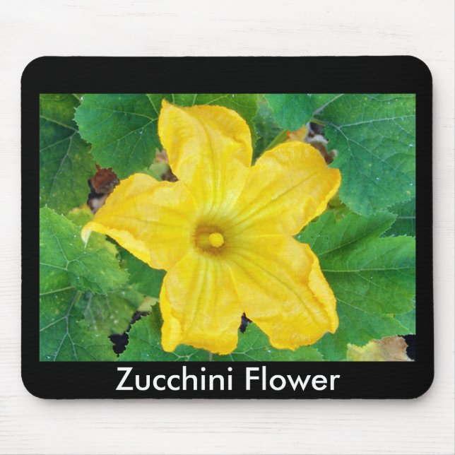 Zucchini Blume Mousepad (Vorne)