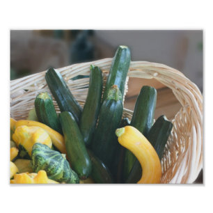 Zucchini Sommer Squash Gourds Gemüse 8x10 Fotodruck