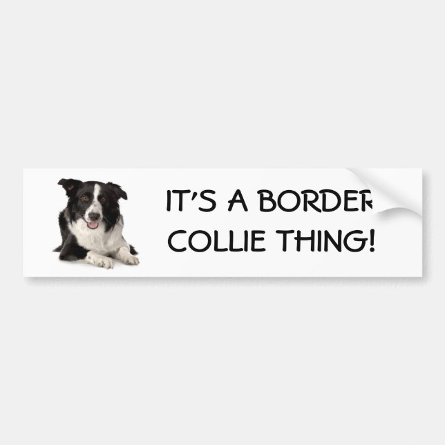 Zucht-Grenze-Collie, ITIS eine Autoaufkleber (Vorne)