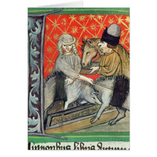 Züchtende Schweine und Pferde