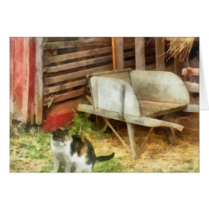 Zuchtkatze