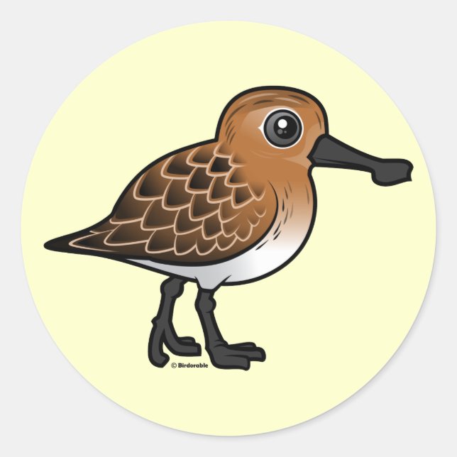 Zuchtlöffel-Sandpiper Runder Aufkleber (Vorderseite)