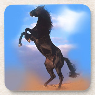 Zuchtpferd Getränkeuntersetzer