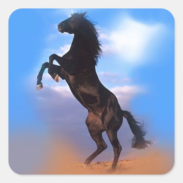 Zuchtpferd Quadratischer Aufkleber (Vorderseite)