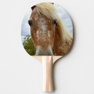 Zucker, Appaloosa Pferd, Tischtennis Schläger