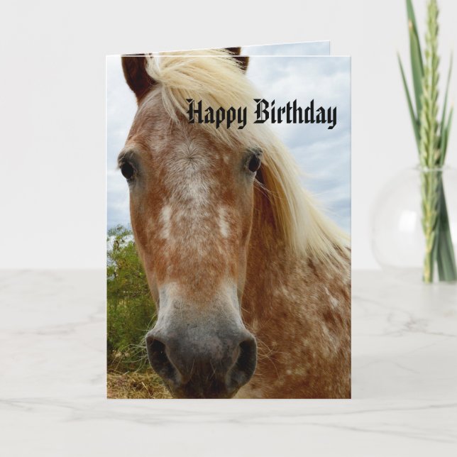 Zucker Das Appaloosa Pferd Geburtstag Karte (Vorderseite)