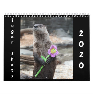 Zucker-Shots-Kalender 2020 Kalender