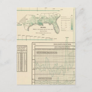 Zucker und Melasse Postkarte