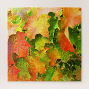 Zuckerahornblätter im Herbstglanz Puzzle