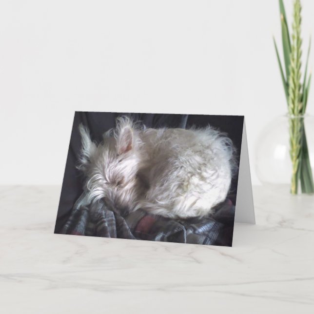 Zuckerbärenkarte Karte (Vorderseite)