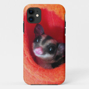 Zuckerglänzer in Orange-Hängepflanze Case-Mate iPhone Hülle
