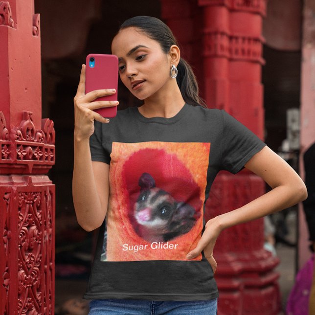 Zuckerglänzer in Orange-Hängepflanze T-Shirt (Sugar Glider in Orange Hanging Bed Womens T-Shirt)