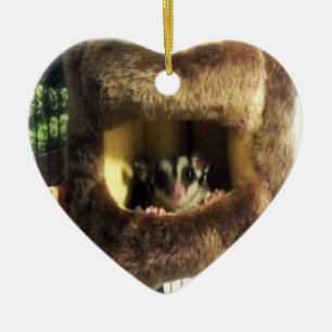 Zuckergleiter im Felligen Baum-LKW-Hängebett Keramik Ornament