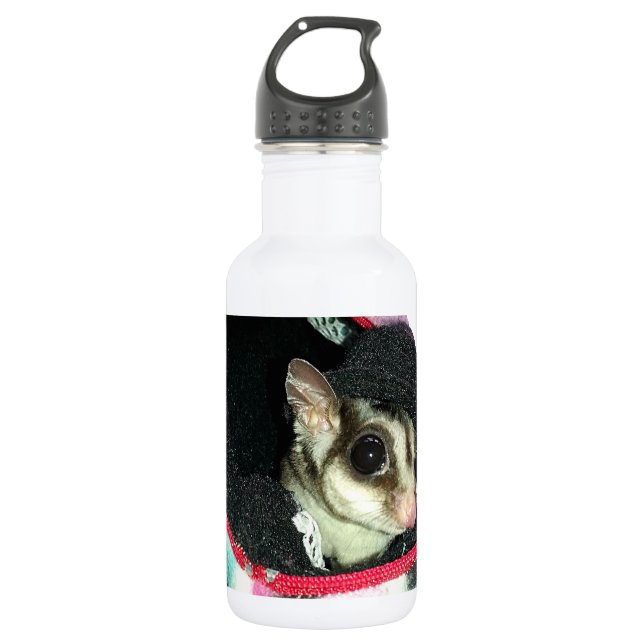 Zuckergleiter mit Hut Trinkflasche (Vorderseite)