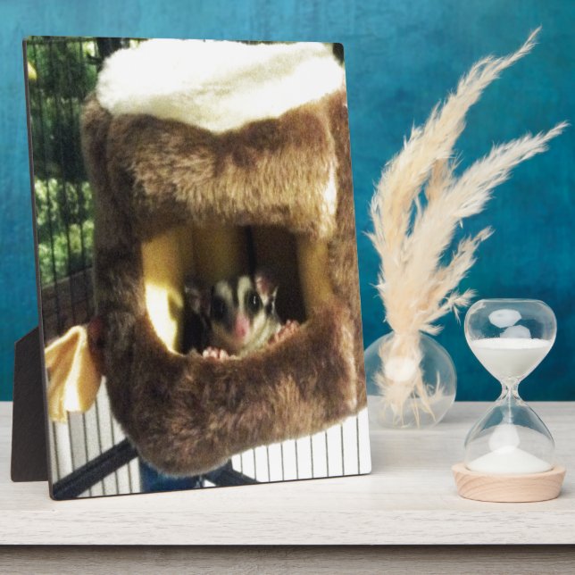 Zuckergrüber in Furry Tree Truck Hängebett Fotoplatte (Seite)