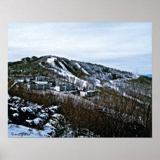 Zuckerhut, North Carolina Poster