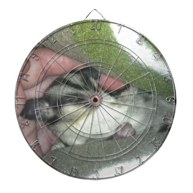 Zuckerkäfer schlafen in Blanket Dartscheibe (vorne)