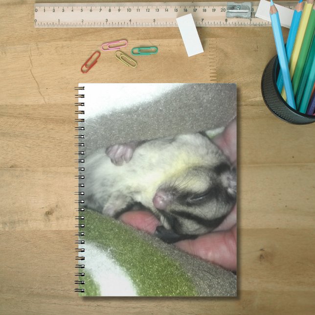 Zuckerkäfer schlafen in Blanket Notizblock (Sugar Glider Sleeping in Blanket Notebook)