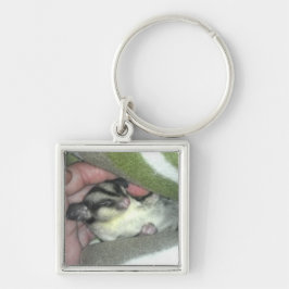 Zuckerkäfer schlafen in Blanket Schlüsselanhänger