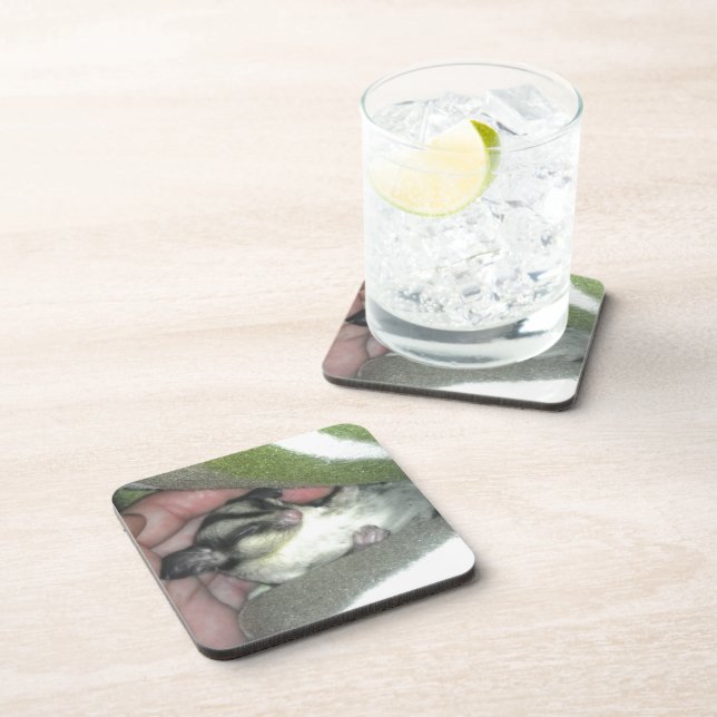 Zuckerkäfer schlafen in Blanket Untersetzer (Rechte Seite)