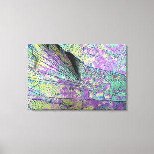 Zuckerkristalle in Polarlicht Leinwanddruck