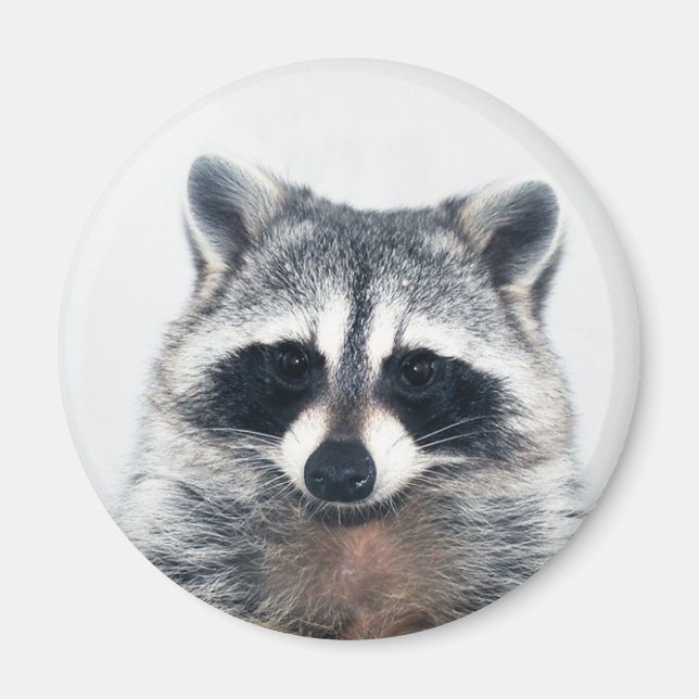 Zuckermagnet Magnet (Vorne)