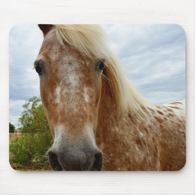 "Zuckerrohr: Die Gnade der Appaloosa" Mousepad (Vorne)