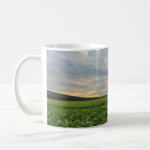 Zuckerrübe-Feld am Sonnenuntergang Kaffeetasse