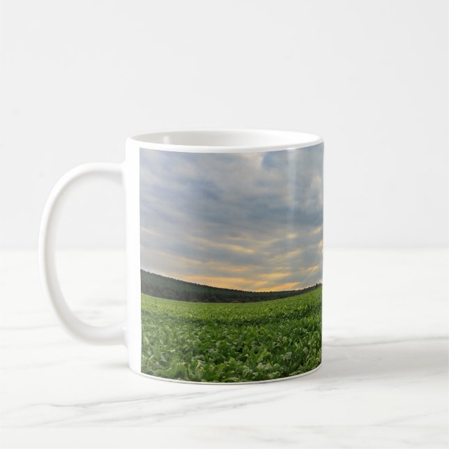 Zuckerrübe-Feld am Sonnenuntergang Kaffeetasse (Links)
