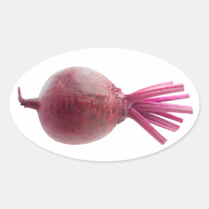 Zuckerrüben Ovaler Aufkleber